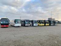 MS Hamburg ekskursiju autobusai