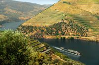A-ROSA on the Douro